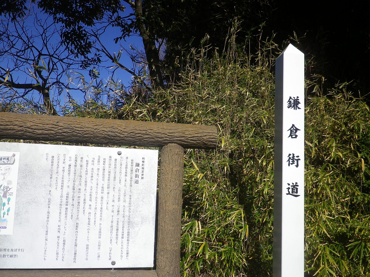 この森には”鎌倉街道”が残っています。