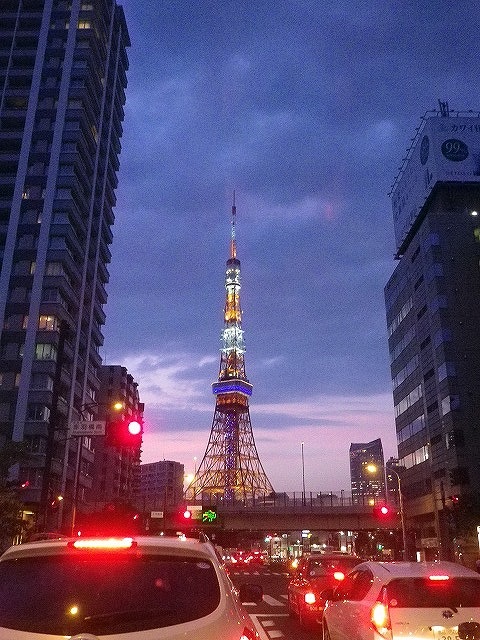 夕方から夜にかけての東京タワーも綺麗でした。